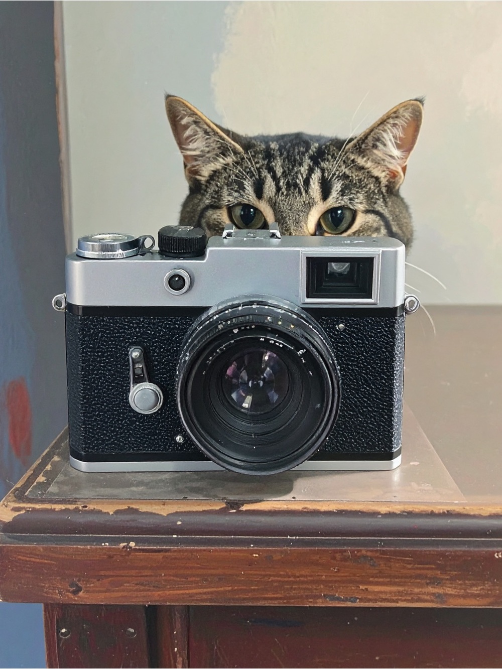 Black and Silver Camera with Curious Tabby Cat Art Print